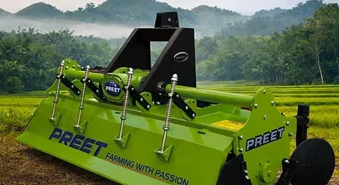 Our Vision - Seedling Growth